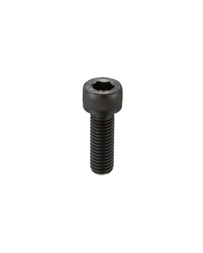 PERNO M5X16 TESTA BRUGOLA NERA INOX